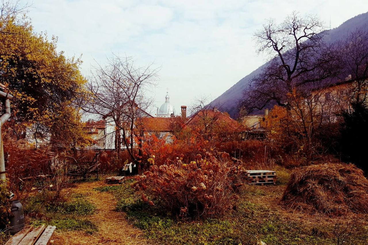 Mountain Tale Hostel Braşov Buitenkant foto