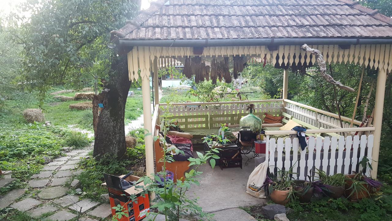 Mountain Tale Hostel Braşov Buitenkant foto