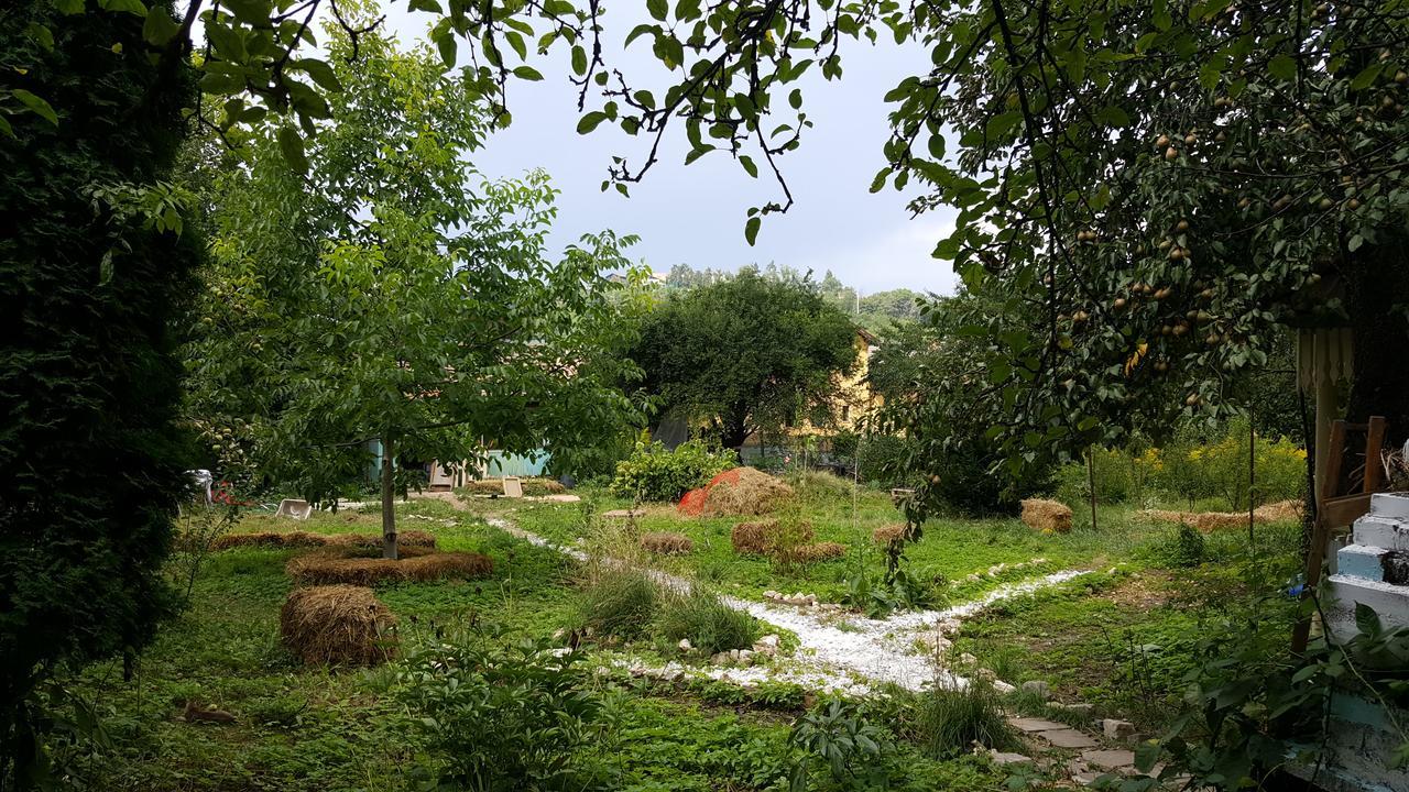 Mountain Tale Hostel Braşov Buitenkant foto