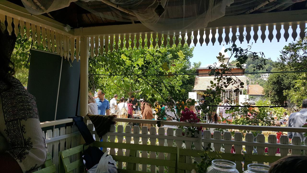 Mountain Tale Hostel Braşov Buitenkant foto