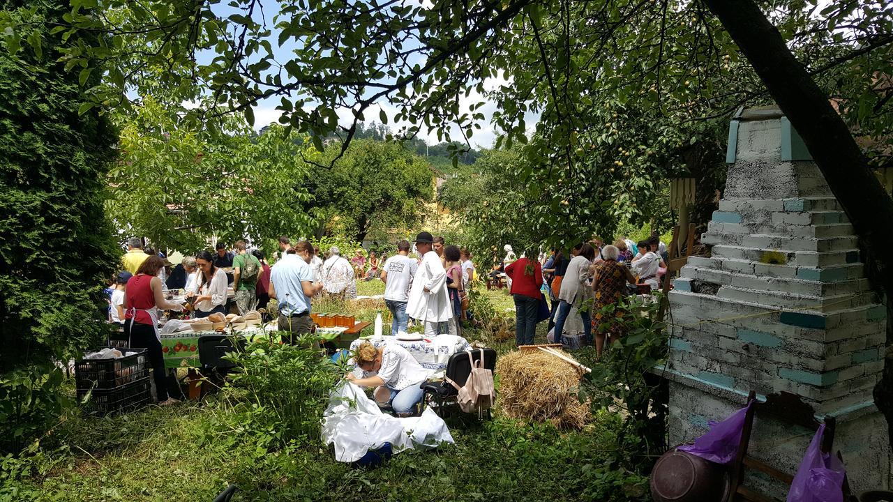 Mountain Tale Hostel Braşov Buitenkant foto