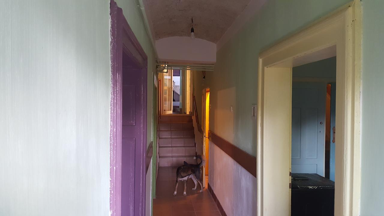 Mountain Tale Hostel Braşov Buitenkant foto