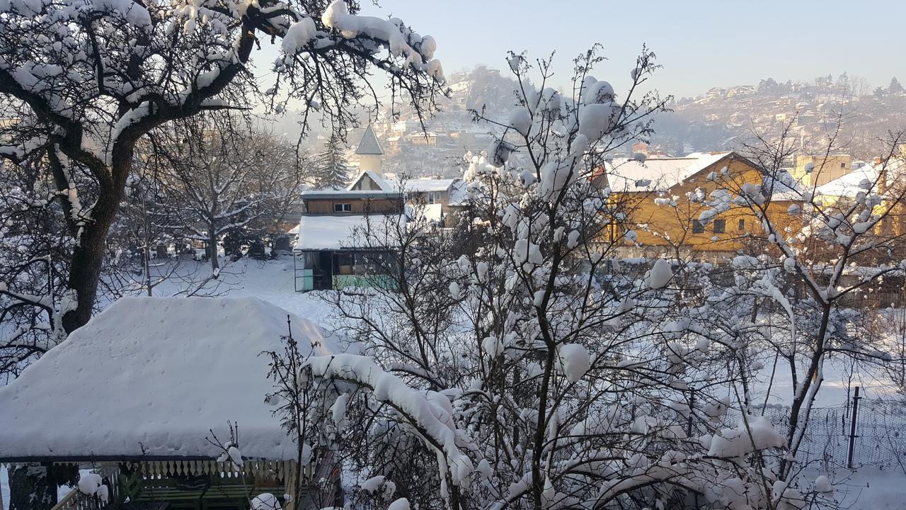 Mountain Tale Hostel Braşov Kamer foto