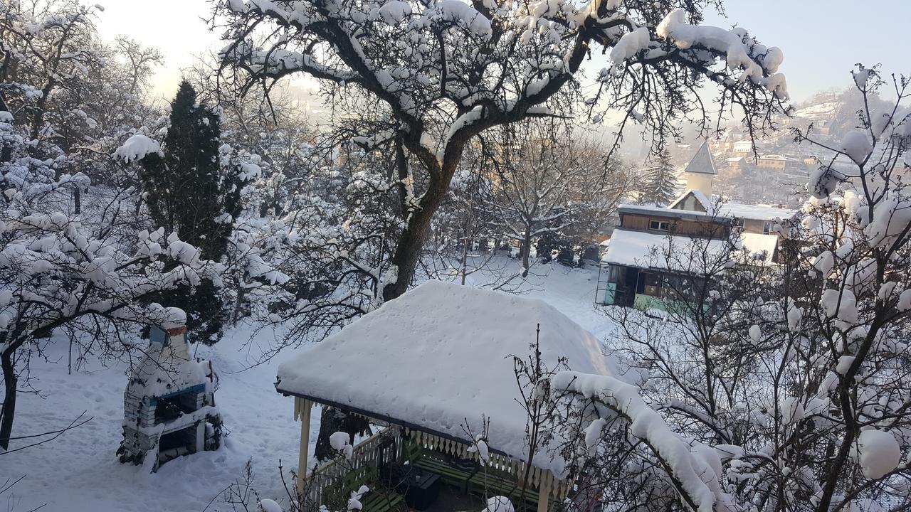 Mountain Tale Hostel Braşov Buitenkant foto