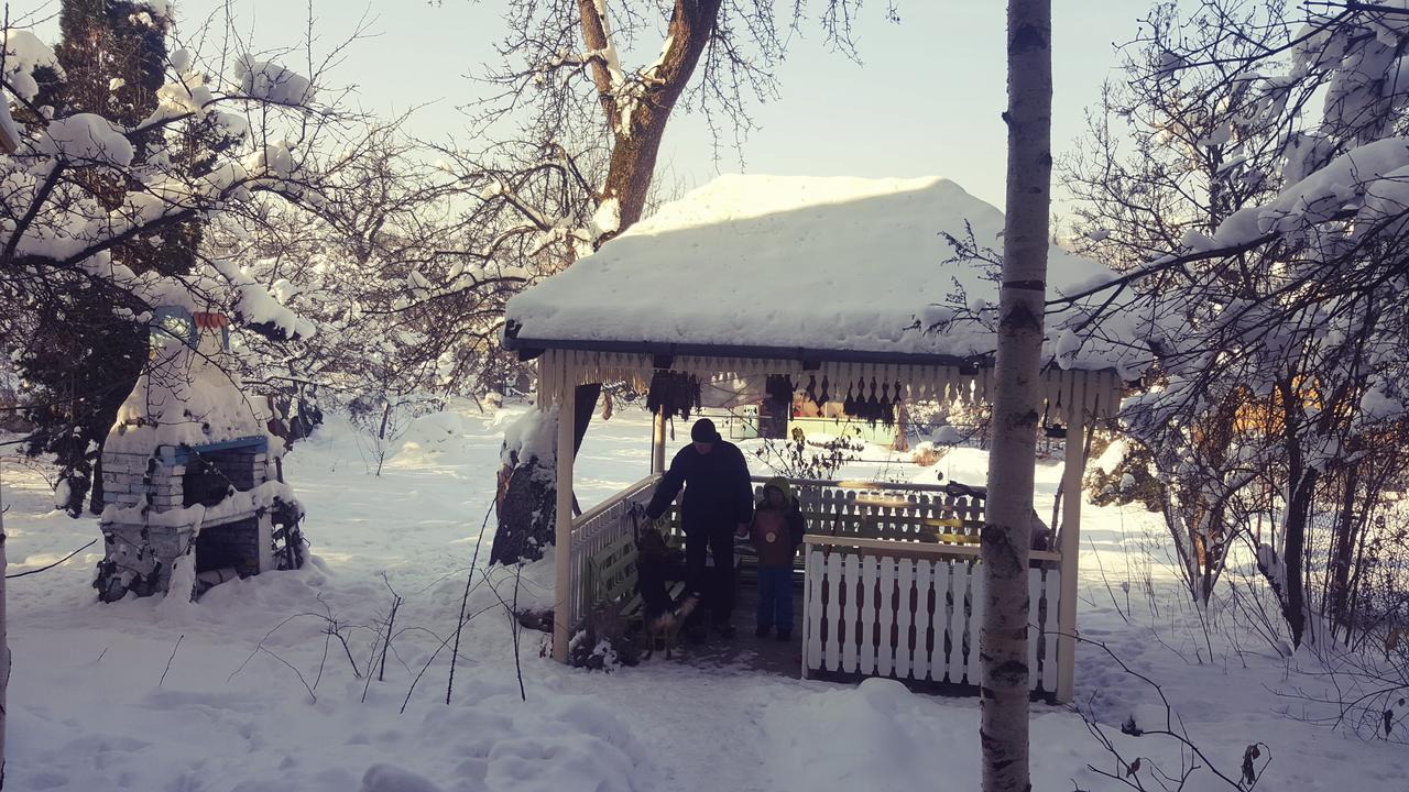 Mountain Tale Hostel Braşov Buitenkant foto