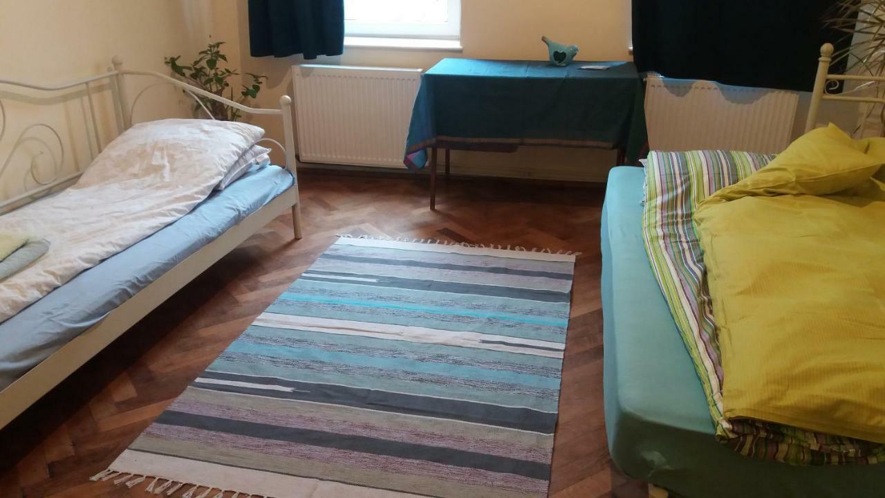 Mountain Tale Hostel Braşov Buitenkant foto