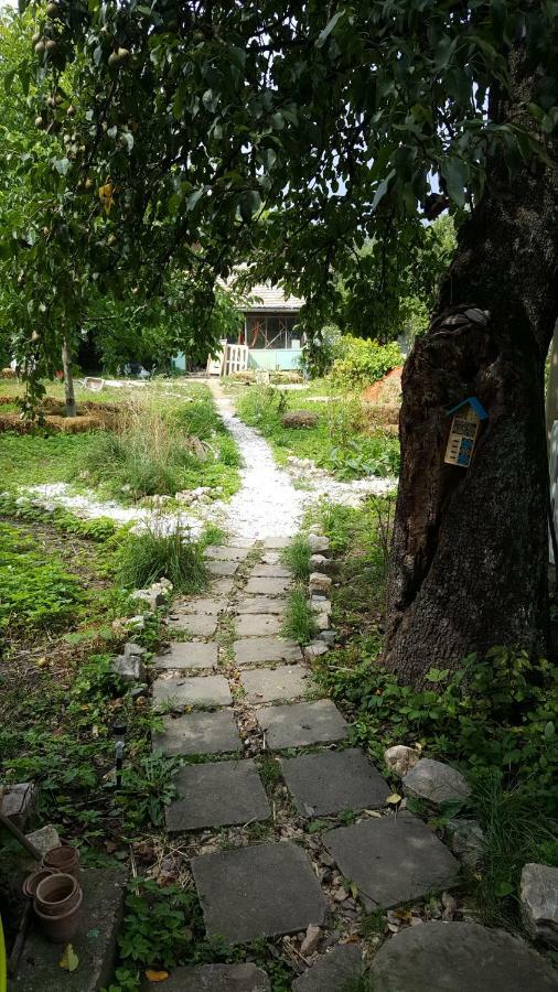 Mountain Tale Hostel Braşov Buitenkant foto