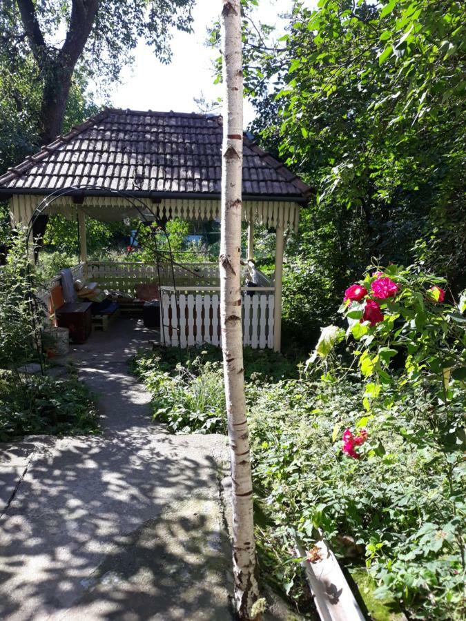 Mountain Tale Hostel Braşov Buitenkant foto